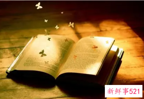 从事学校财务的工作感想