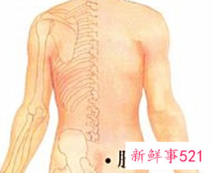 后背经络图解