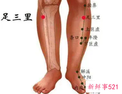 女性足三里在左还是右