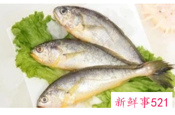 春季吃什么鱼对孩子好