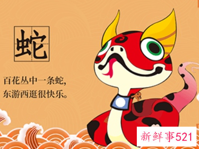 2022年属蛇人的运势如何