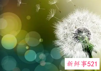 只钟情于一个人的网名