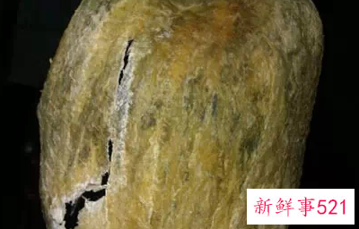 如何辨别假鱼胶和真鱼胶