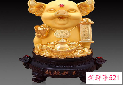 客厅金猪摆放头朝