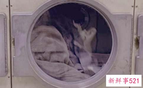 梦见水洗衣服什么意思
