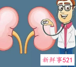 补肾调理的最佳方法