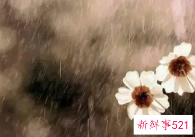 机会让给了别人后悔了