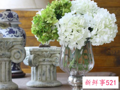 不适合摆放在家里的植物