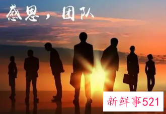 刚加入新团队感谢语