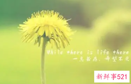 又顺利又有财气的微信名字女