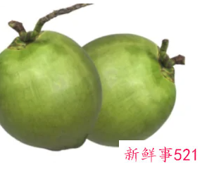 椰子青的好还是黄的好