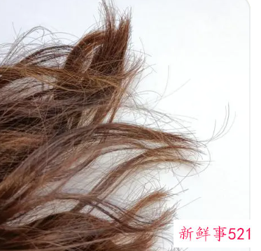 发尾干枯毛燥怎么办