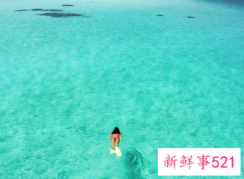 游泳分为几个步骤