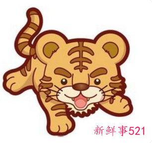 属虎是什么星座