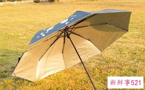 梦见雨伞有什么寓意