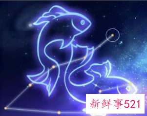 最配狮子男的星座女