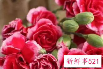 象征吉祥寓意的东西