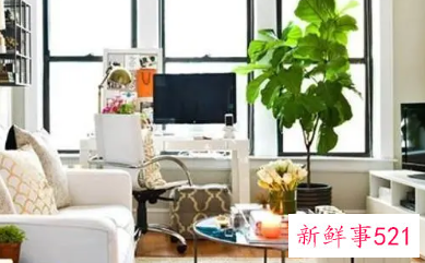 客厅可以放哪些实用的摆设