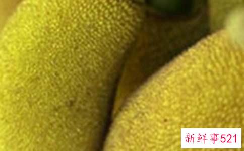 吃菠萝蜜有什么样的禁忌