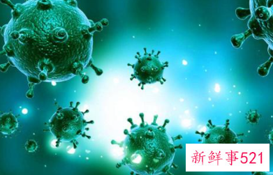 病毒阳性什么意思