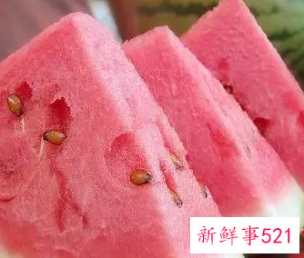 夏天吃西瓜的功效与作用禁忌