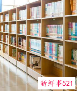 编制性质怎么填写