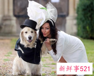 狗狗更喜欢异性主人吗