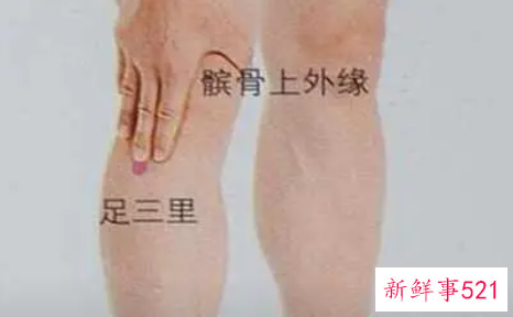 女性足三里在左还是右