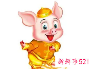 生肖属猪的人的性格和脾气