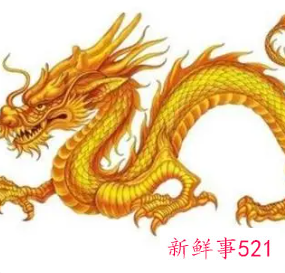 女属龙与什么属相最佳