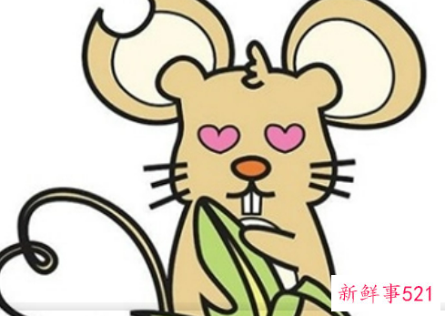 属鼠人的全年运势1984出生