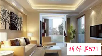 客厅可以放哪些实用的摆设