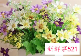 双鱼座适合什么花