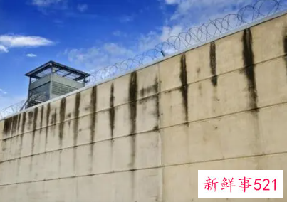 梦见从墙上跳下来是什么意思