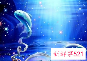 双鱼座适合什么花