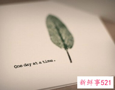 刚加入新团队感谢语