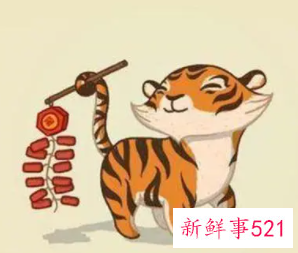 最宠属虎女的生肖男