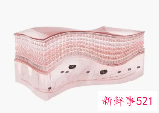 黑色素排不出来要疏通皮肤