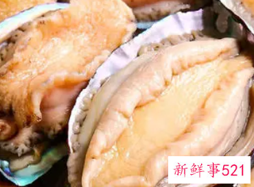 鲍鱼炒着吃是否会影响营养