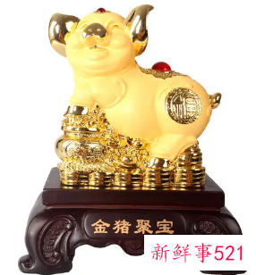 客厅金猪摆放头朝