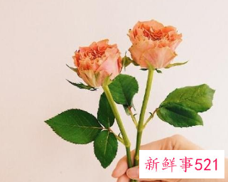 对情人说的暖心话短句