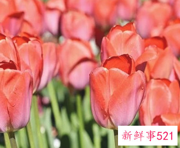 初恋失恋了如何走出来