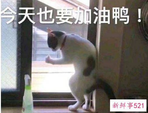 致年轻人的经典语段——青春是有限的