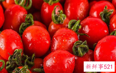 世界上最小的番茄是什么