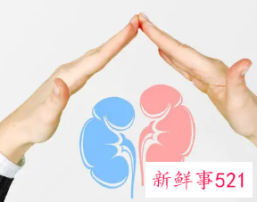 补肾调理的最佳方法