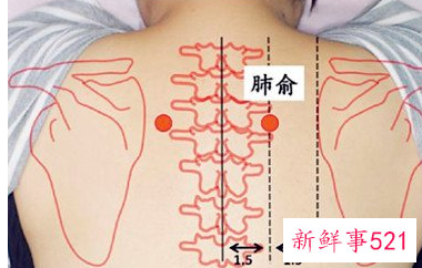 后背经络图解