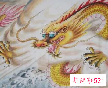 女属龙与什么属相最佳