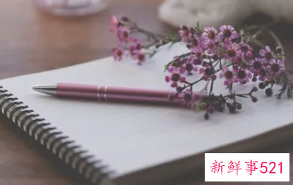 工作方案包括哪几部分