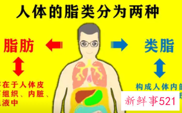 脂肪的六大功能