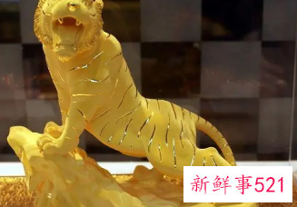 属虎的人为什么不能戴黄金